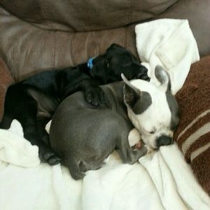 Meet your Posher, Virginia